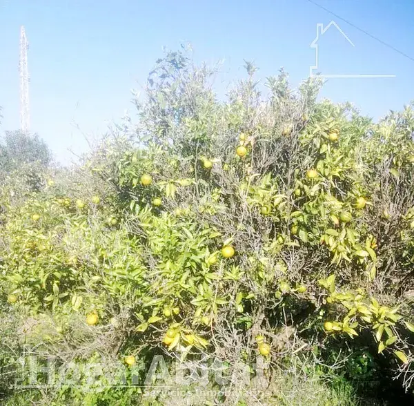 Terreno Rustico Costa Azahar Castellon