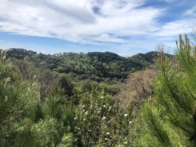 Terreno en Venta Gaucin Ideal para Turismo Rural