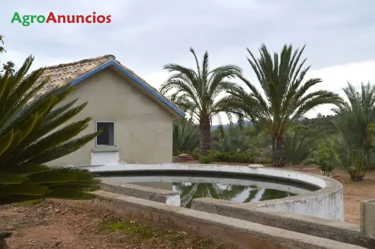 Venta  de Finca hortícola en Valencia