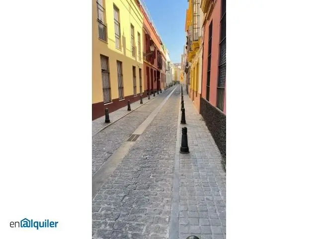 Alquiler Piso Ascensor Trastero Nervion Sevilla
