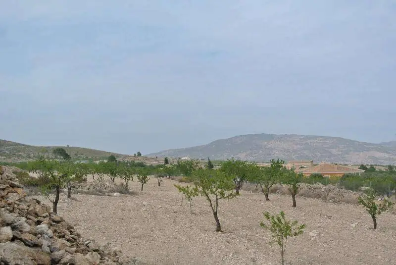 Parcela en Venta Jumilla Murcia