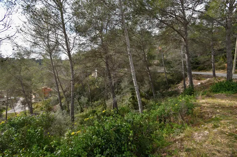 Venta Terreno Can Suria Olivella Casa Unifamiliar