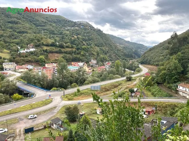 Venta  de Casa con finca grande en Asturias