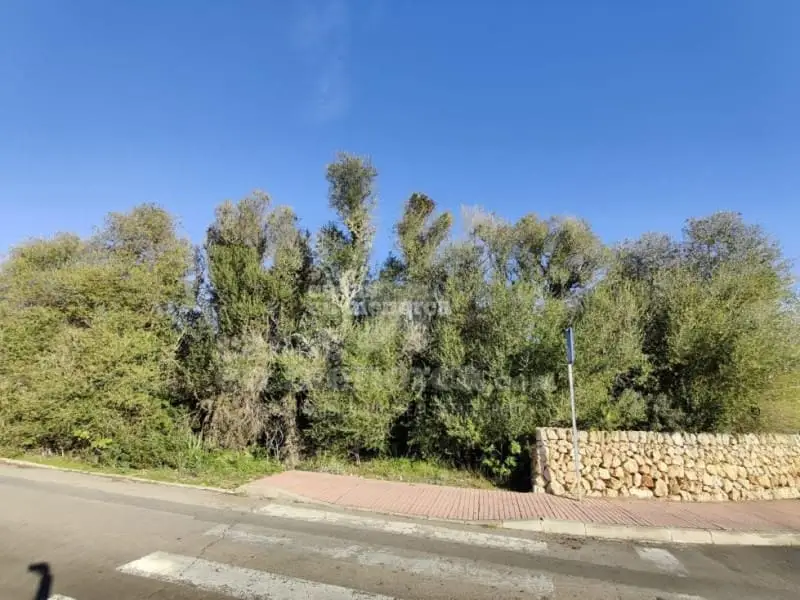 Solar Edificable 1000m2 Binixica Mahon Menorca