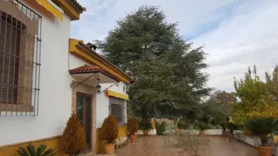 Chalet en venta en Carretera Santuario