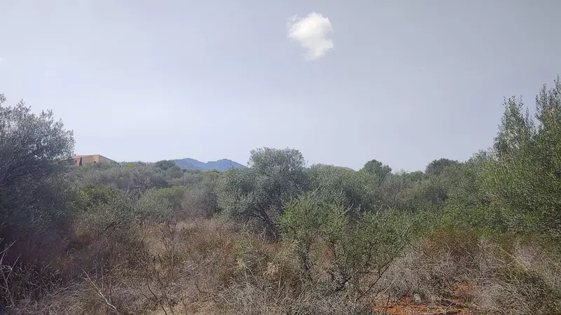 Venta Terreno Portocolom 15000m2 - Casa Unifamiliar
