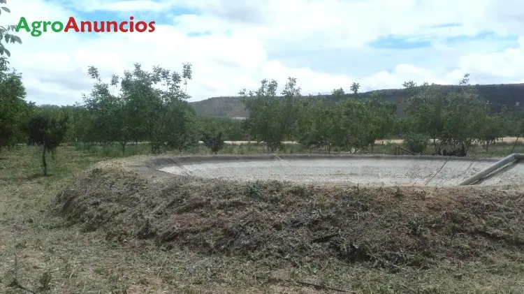 Venta  de Finca de frutales en Palencia