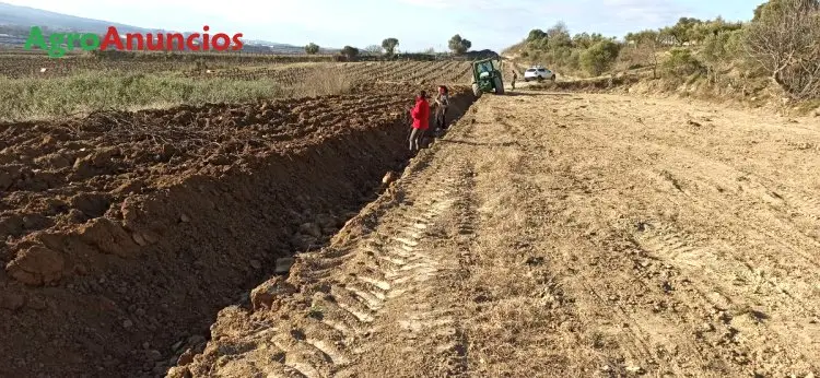 Venta  de Finca de viñedo de secano en Barcelona