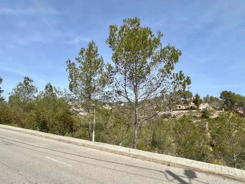 Parcela en Venta Les Colines Olivella 972m2