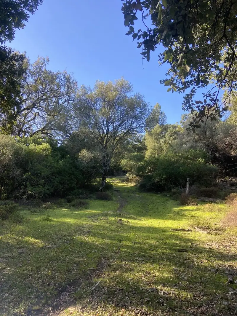 Casa Rural en Jimena de la Frontera con 14 Hectareas
