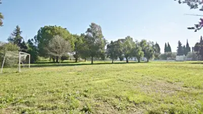 Finca Rústica con Piscina 7 Dormitorios Pedanías Este