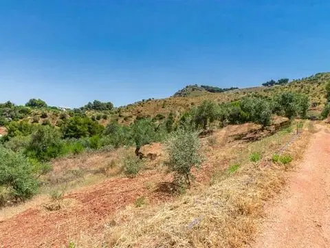 Terreno en Venta Ardales: 2173m2 con Olivos y Agua