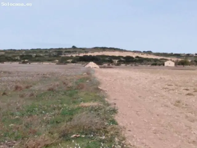 Terreno Rustico en Venta Almansa 4 Ha