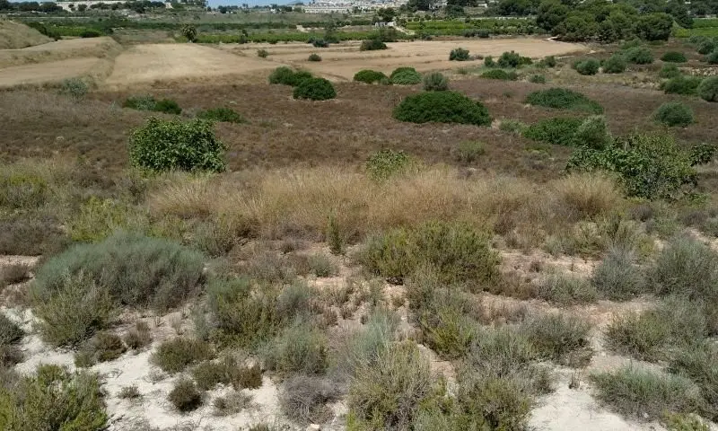 Terreno en venta Pinar De Campoverde, España