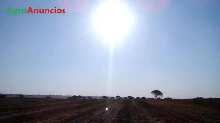 Venta  de Finca de secano en Badajoz