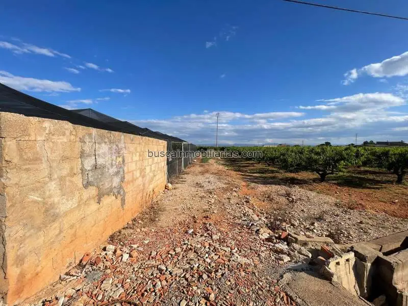 Parcela Rustica en Venta Benimodo 2402m2 Cultivo Caqui