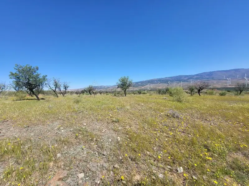 Venta Terreno Campillo Abrucena 17859m2 Finca Rustica