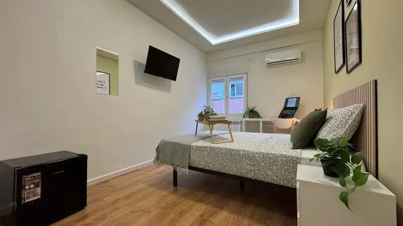 Apartamento 1 Dormitorio Madrid Alquiler