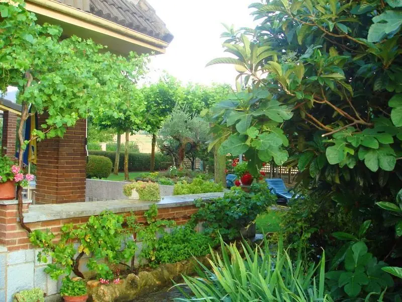 Venta Casa con terraza en Berantevilla