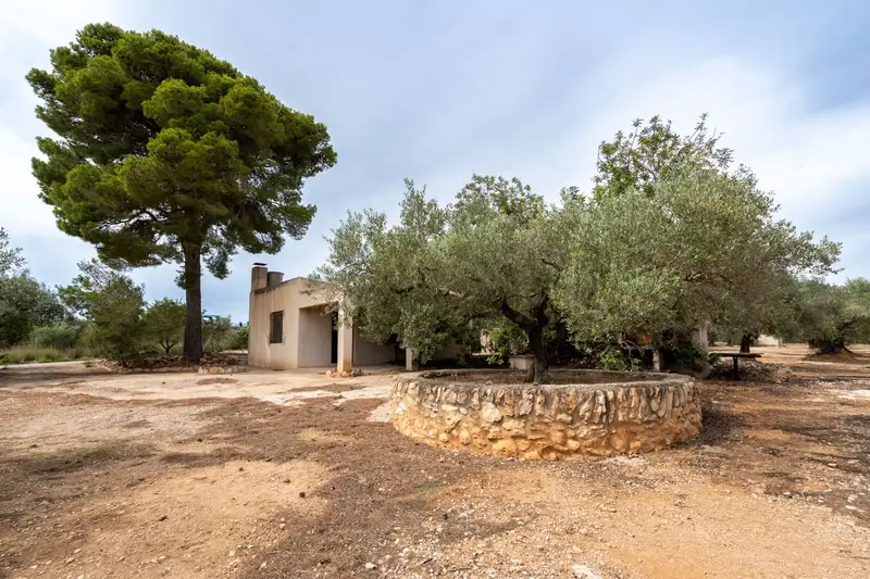 Finca Rustica en Venta Camarles Tarragona