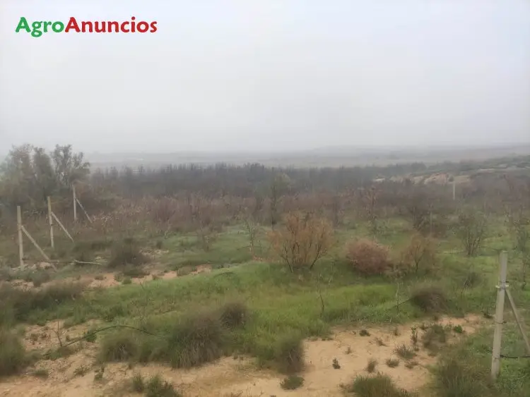 Venta  de Finca de regadío en Huesca