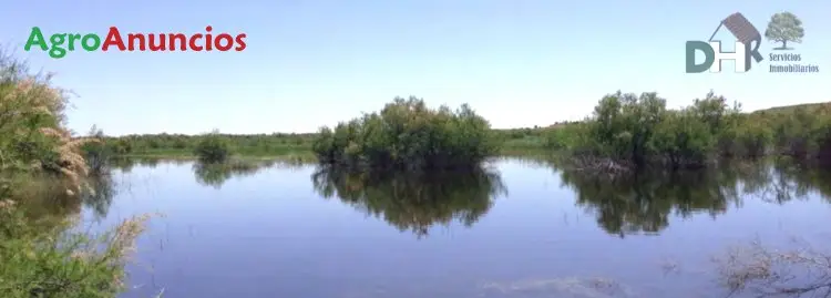 Venta  de Finca de labor y recreo con molino rehabilitado en Toledo