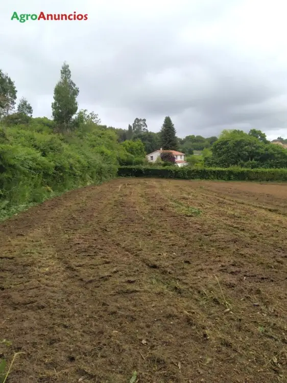 Alquiler  de Finca de pastos en A Coruña