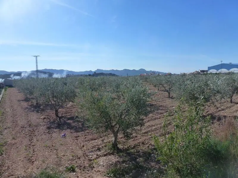 Parcela Edificable en Venta Macisvenda Murcia