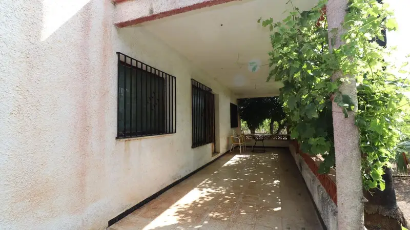Finca Rustica en Venta Alcanar Cerca del Marjal
