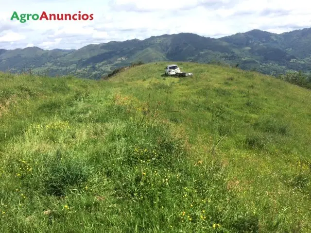 Venta  de Finca de recreo en Asturias