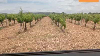 Finca Rustica en Venta Carretera Moral