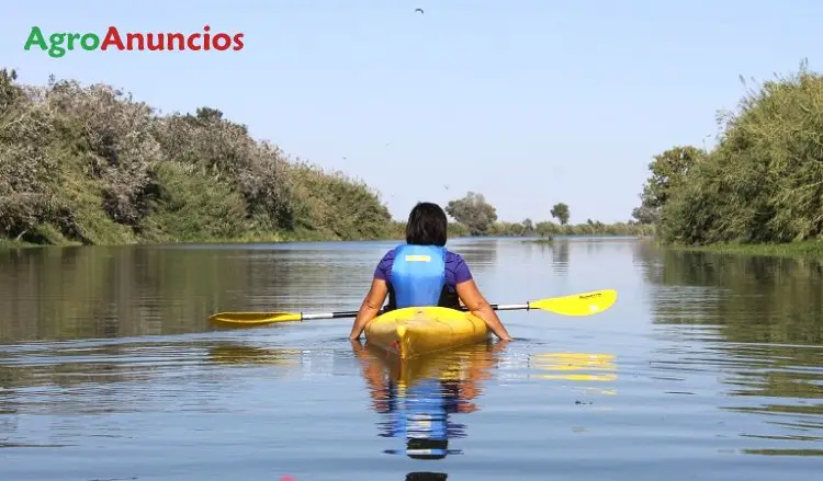 Venta  de Finca de mandarinas en Tarragona