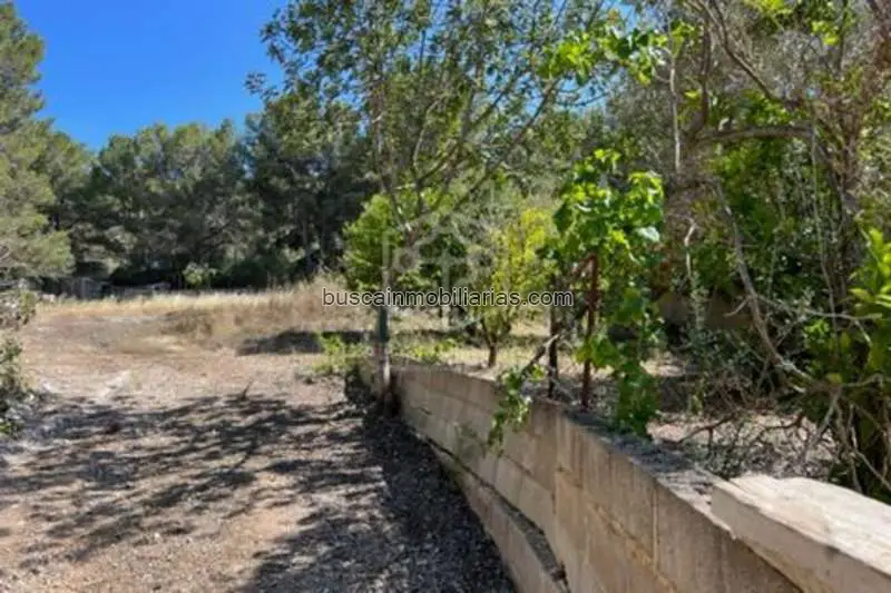 Parcela en Venta Santa Ponsa Mallorca 1178m2