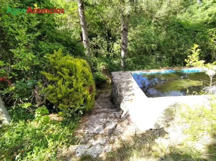 Venta  de Finca de recreo junto al rio udarbe en Navarra