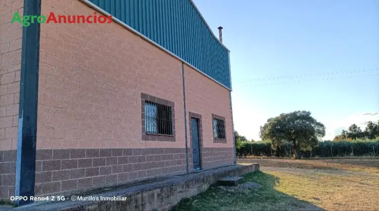 Venta  de Nave industrial en Badajoz