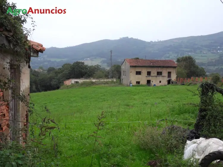 Venta  de Casa de campo en Asturias