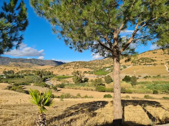 Finca con 3 Dormitorios en Venta Pizarra