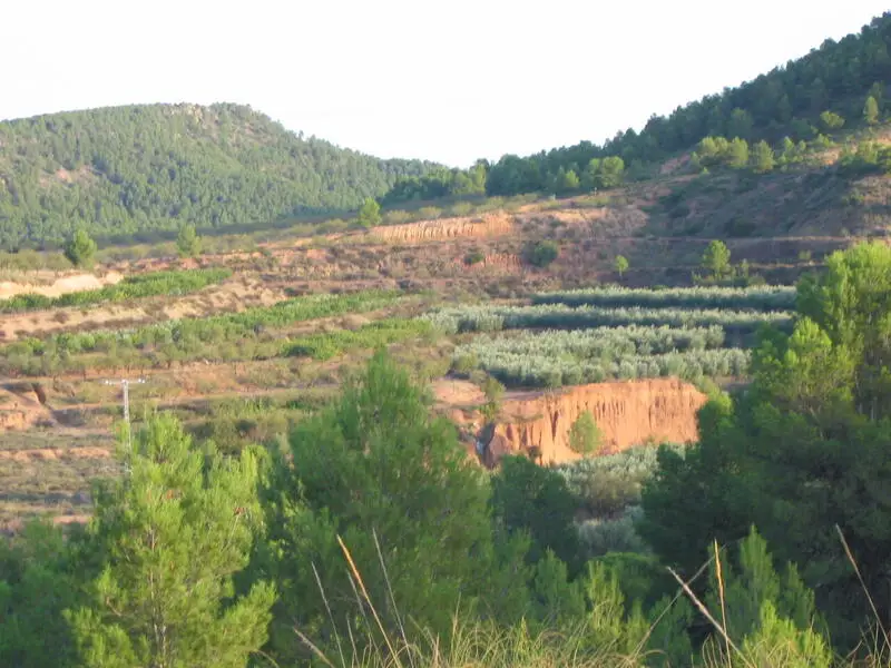 Parcelas en Venta Murcia: Viviendas Personalizadas con Opci	ón Passivhaus