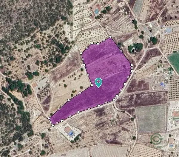 Parcela Rustica 25000m2 Monovar Alicante