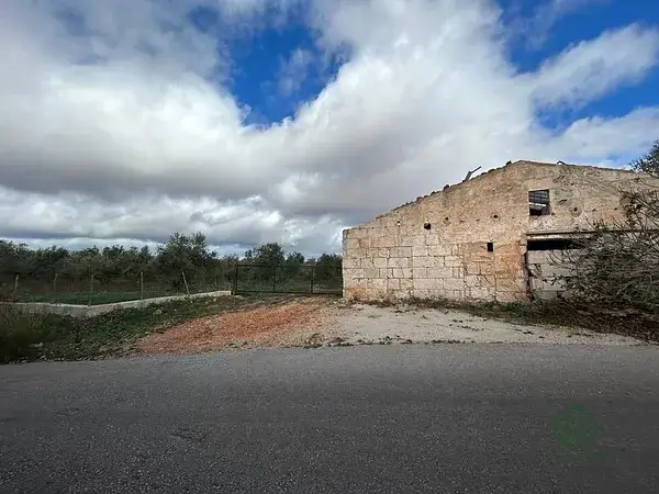 Finca Rustica Edificable Sa Pobla 28161m2 Olivos Piscina