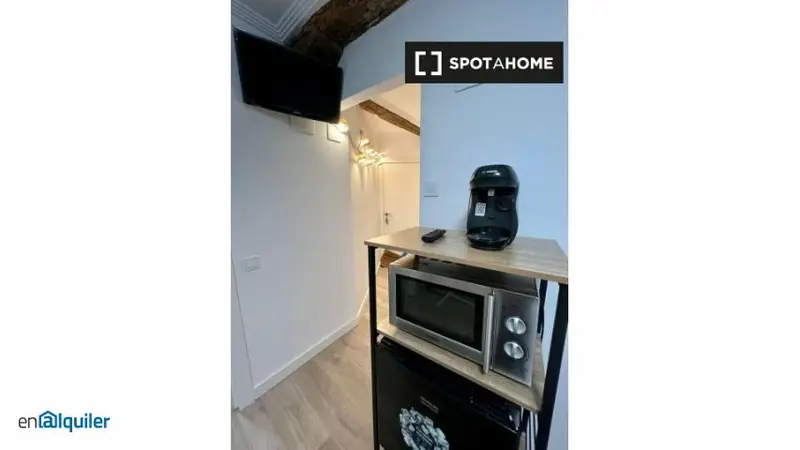 Studio rental with elevator in Bilbao