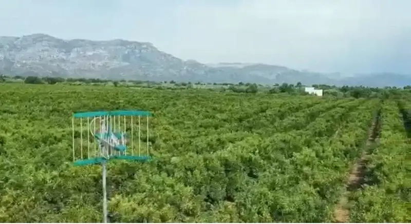 Finca 53 Hectareas Roquetes Tarragona 2 Casas 2 Naves Coto Privado