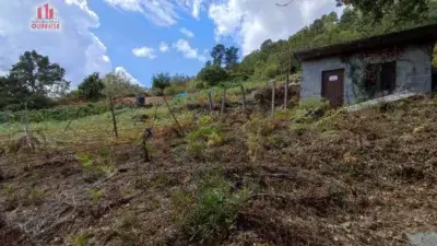 Finca rústica en venta en Beiro