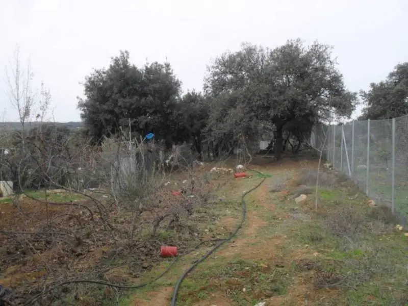 Venta Finca Los Arenales Loja 15600m2