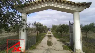 Finca rústica en venta en Lebrija