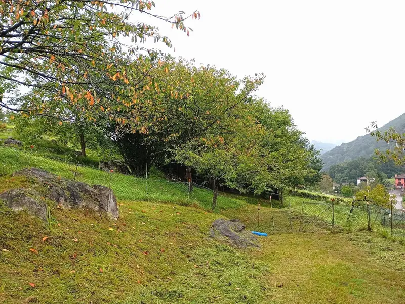 Venta Finca Rustica 1 Dormitorio Puerto Las Caldas Oviedo
