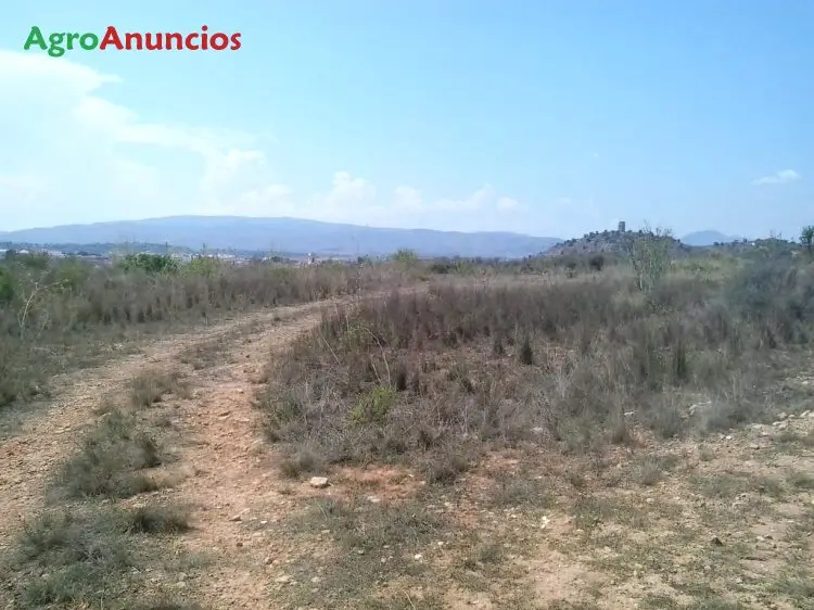 Venta  de Finca agrícola en Valencia