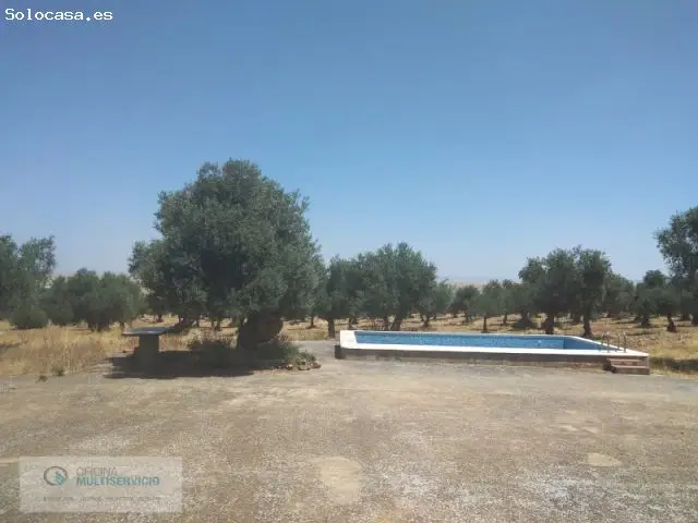 Finca Rustica con Casa Piscina y Olivos en Produccion