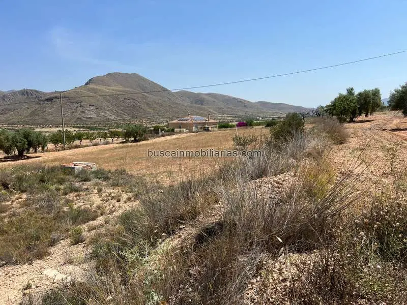 Parcelas Rusticas en Venta Orihuela Barbarroja Vistas Montana