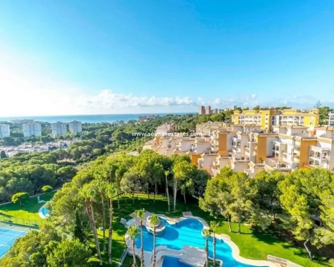 Apartamento 2 Dormitorios en Dehesa de Campoamor Cerca de la Playa